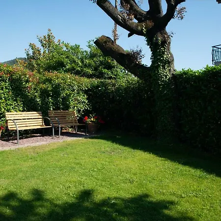 Hotell Vivo Hotel Pieve a Nievole