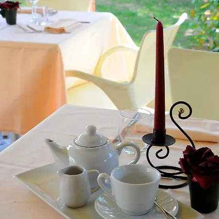 Hotel Vivo Hotel